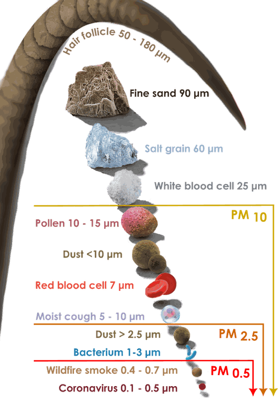A scale of particle sizes from a hair follicle at 50 to 180 micrometres down to a coronavirus at 0.1 to 0.5 micrometres, with brackets marking the PM10, PM2.5 and PM0.5 ranges. In order: hair follicle, fine sand 90, salt grain 60, white blood cell 25, pollen 10 to 15, dust under 10, red blood cell 7, moist cough 5 to 10, dust over 2.5, bacterium 1 to 3, wildfire smoke 0.4 to 0.7, and coronavirus 0.1 to 0.5 micrometres.